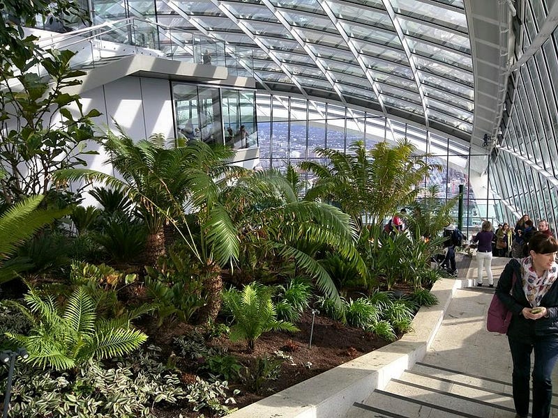 Thumbnail for Two Months into my London Mission