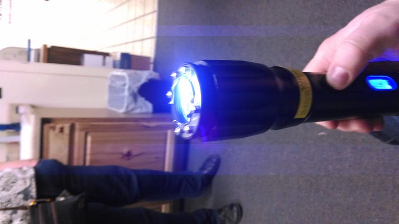 Thumbnail for Thirty Duck-sized Horses: a month of flash fiction